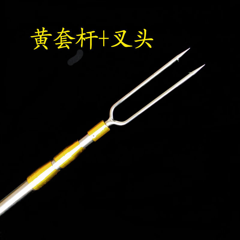 射鱼二齿叉捕头不锈钢倒刺钢叉小号可伸缩杆牛蛙叉手工射鱼器 双齿叉