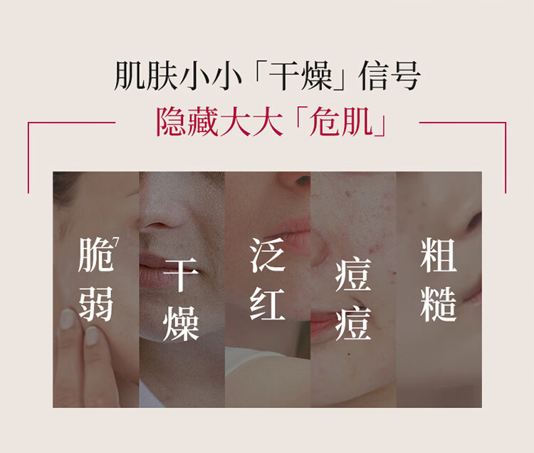 渡美  TUNEMAKERS皮脂膜修护精华神经酰胺红绷带精华2.0补水稳定肌肤修护屏障 皮脂膜修护精华20g(有效期1年半)