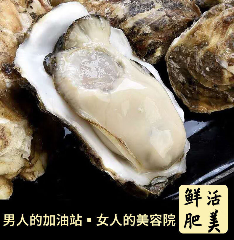 乳山生蚝鲜活一箱6/12斤新鲜超肥特大牡蛎海鲜贝类海蛎子鲜活批发