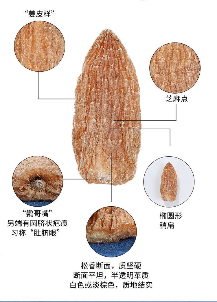 6，紅天麻 正宗雲南野外生長血天麻 頭痛頭暈煲湯燉雞食材 整個 麗江紅天麻250尅12個以內