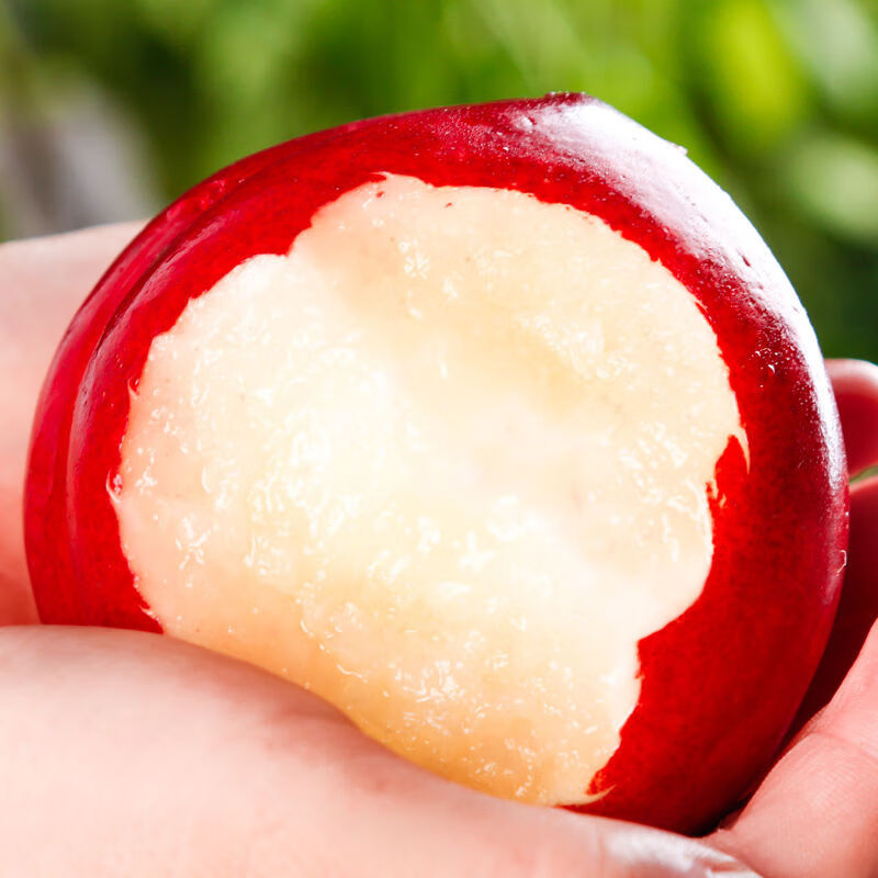 智利油桃桃驳李白肉香脆可口新鲜水果脆桃子时令当季水果速运精品3斤