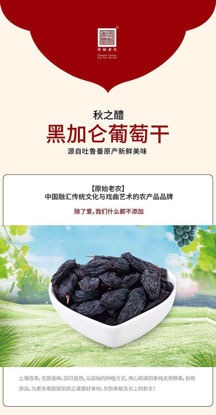 原始老农休闲零食蜜饯果干新疆特产免洗葡萄干孕妇黑加仑葡萄干黑加仑