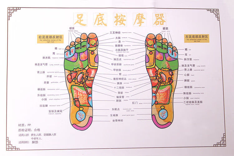 可水洗脚底穴位足底部家用脚底按摩滚轮塑料搓排 蓝色