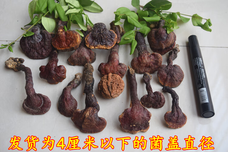 神农架天然正宗小灵芝整枝林芝赤灵芝深山纯灵芝深山500g