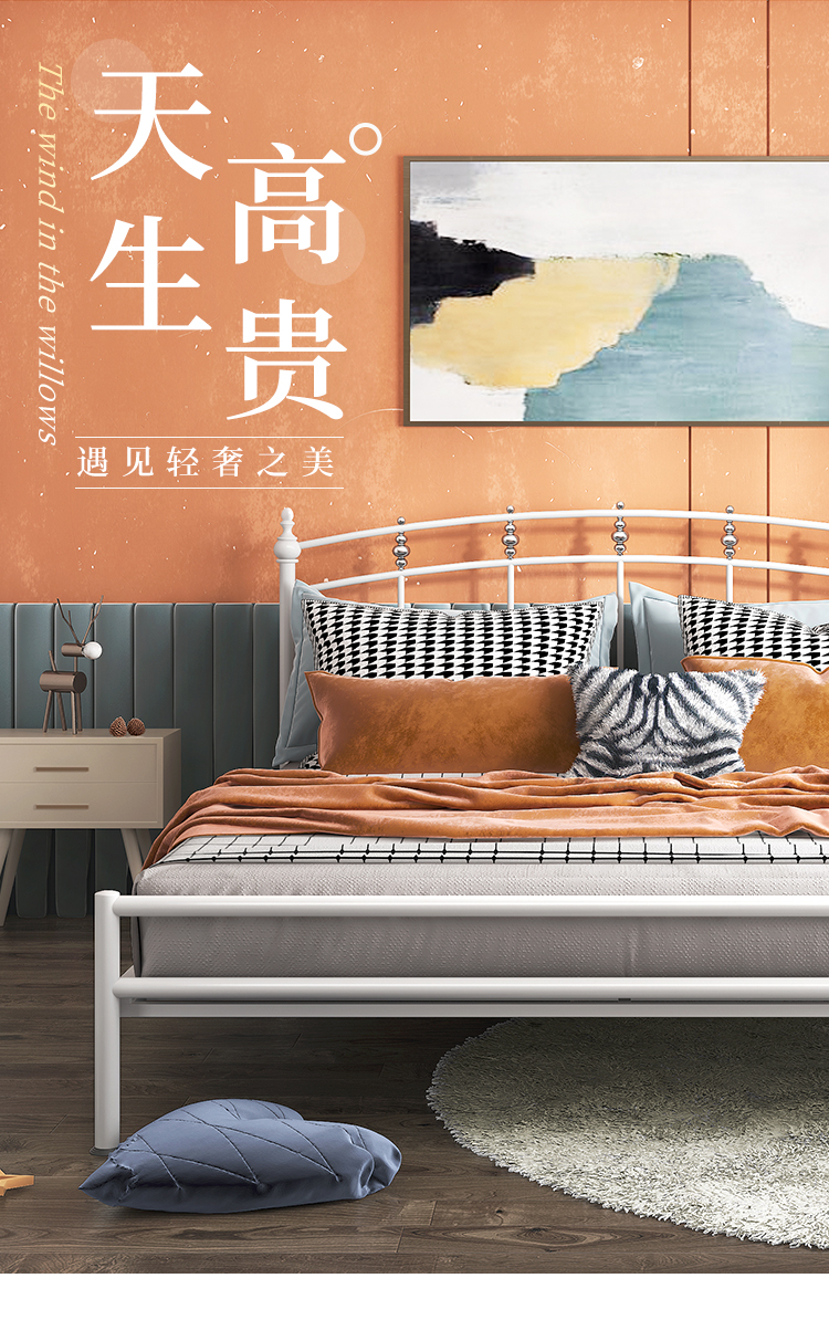天坛家具 铁床 新款公主床婚床 ins网红铁艺床 现代简约双人床单人床 三档调节床(不含床垫) 1500*2000