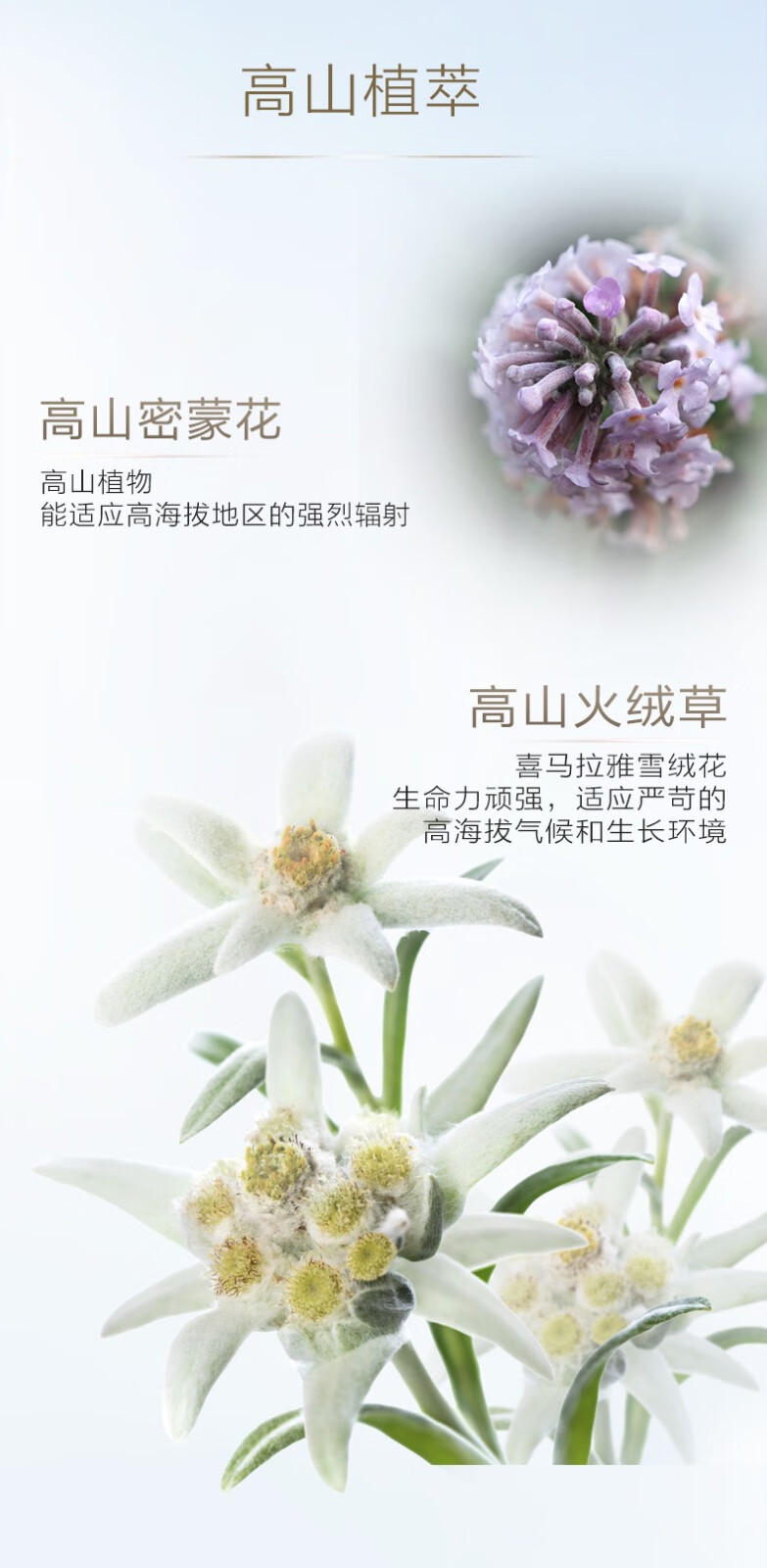 自然堂防晒霜小金伞 高倍隔离妆前防晒乳50+亲肤水润持久防水防汗防光老 亲肤倍呵防晒乳（到手80ml）