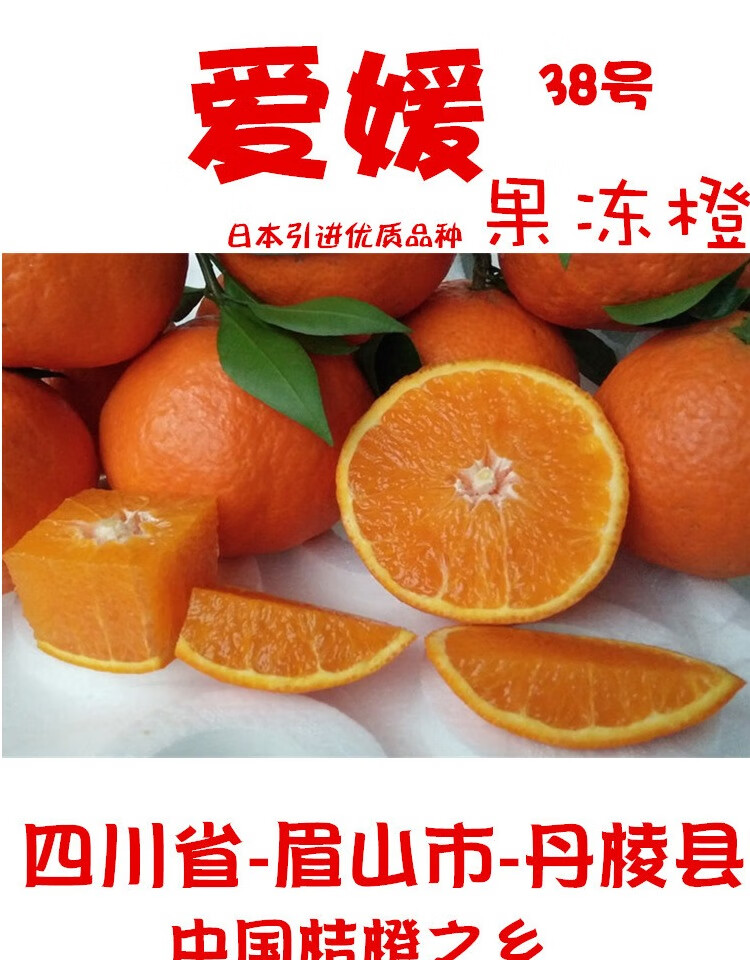 【10斤大果】果冻橙爱媛38号果冻橙现摘手剥橙子新鲜水果当季应季橘子