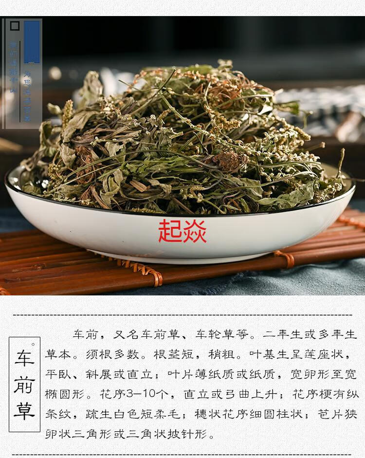 唯香铺车前草干新鲜车钱草泡水车前草茶排酸 冲剂