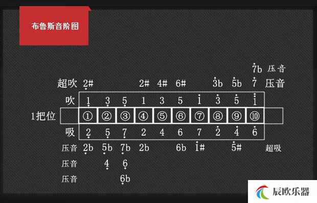 铃木口琴 日本 c-20十10孔布鲁斯口琴c20超吹款新手初学容易压音 hg