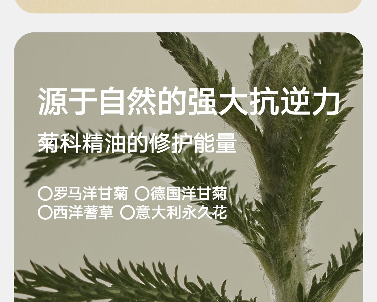 雏菊的天空【618抢先购】翡冷翠修护精露敏弱闪退双核修护清润水透80ml 翡冷翠修护晶露