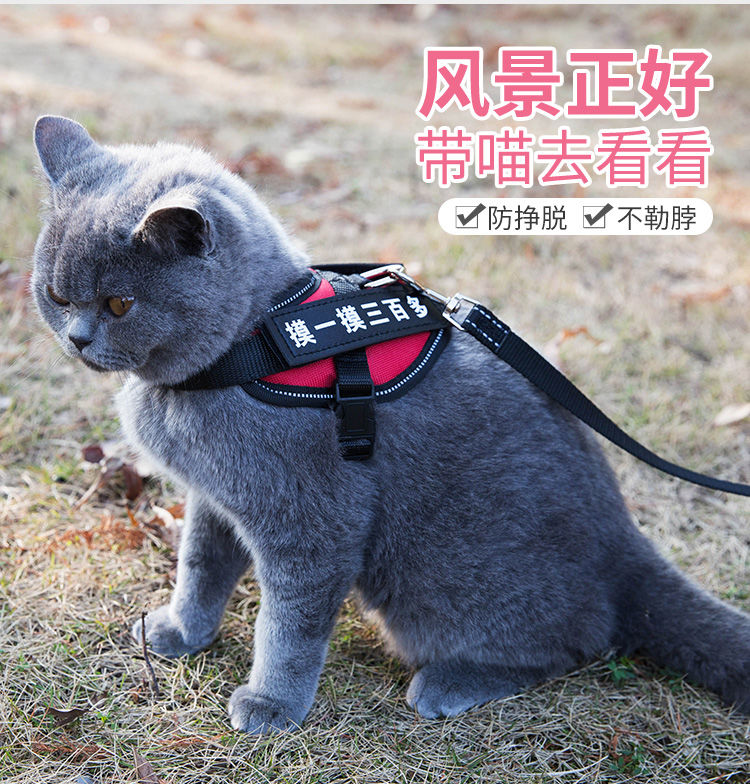 猫咪牵引绳防挣脱专用溜猫绳遛猫绳背心式背带项圈栓小猫绳子猫链