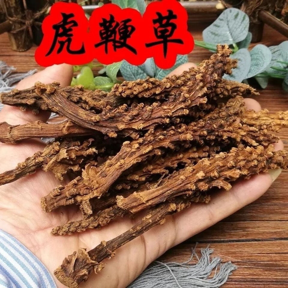 虎鞭草顶天柱阳鞭劲回春草云南苗家腾冲特产野生顶天柱中药材中草药