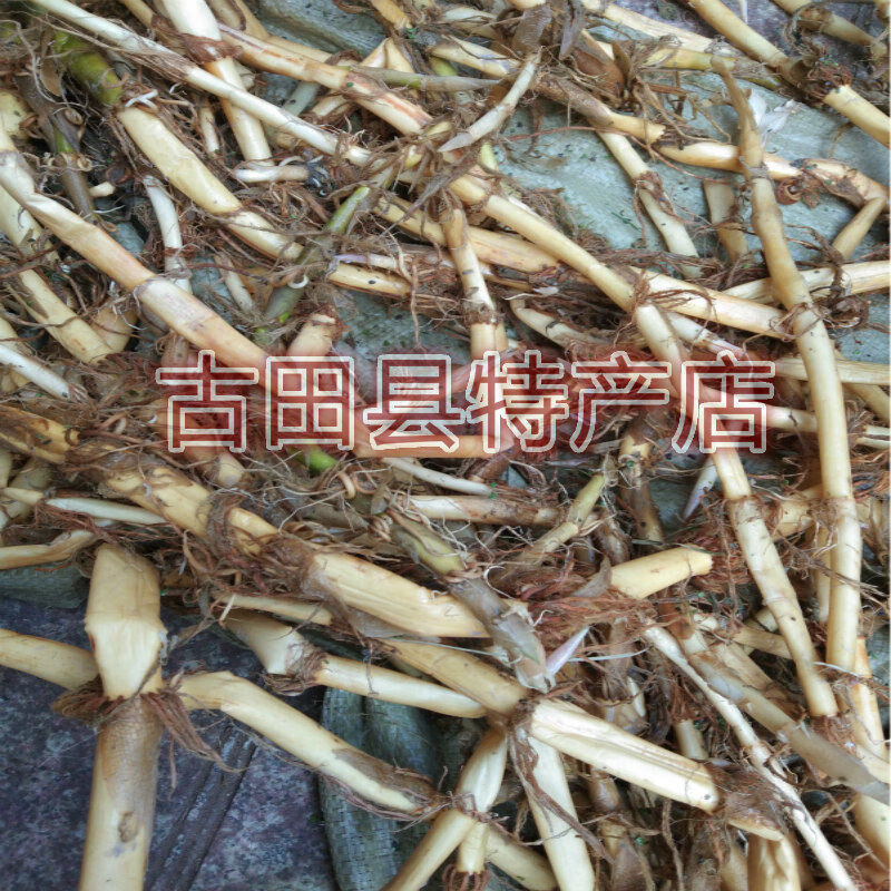 有仁堂茭白根新货农家自挖野生茭白根干货500克