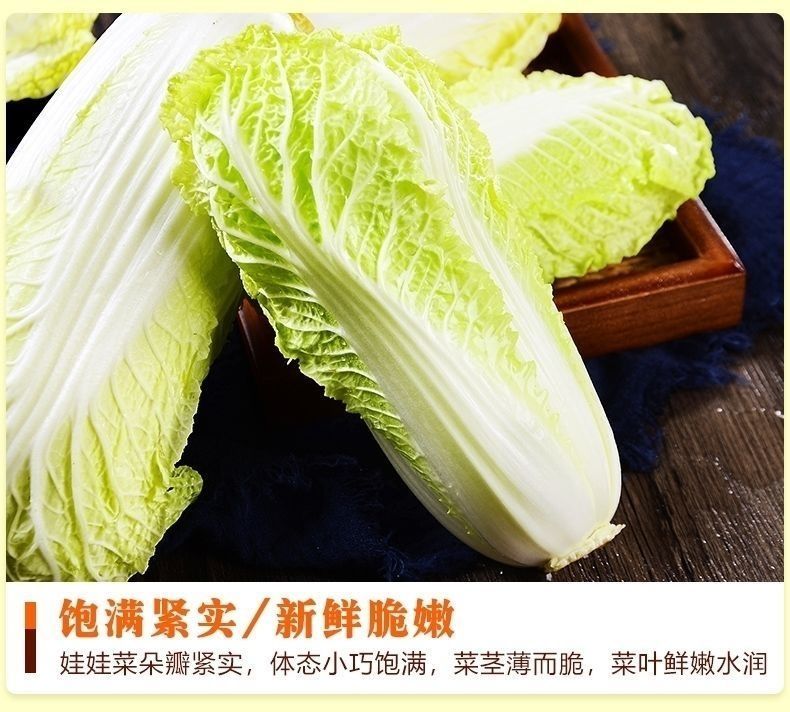 【新鲜娃娃菜】小白菜新鲜蔬菜批发价精品黄心娃娃菜火锅涮菜 大白菜2