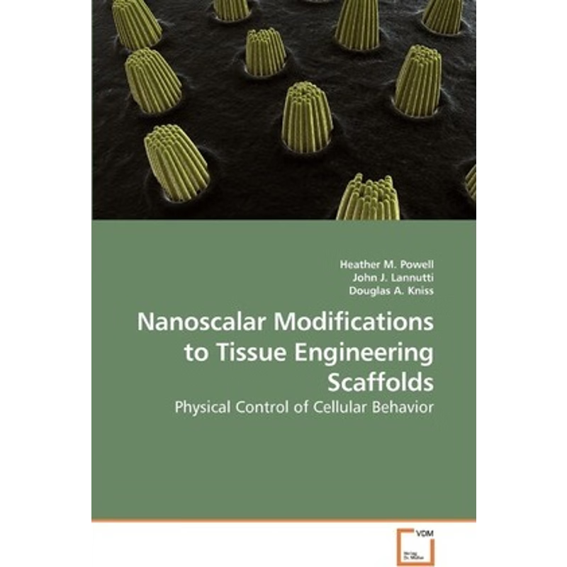 按需印刷Nanoscalar Modifications to Tissue Engineering Scaffolds[9783639215069]