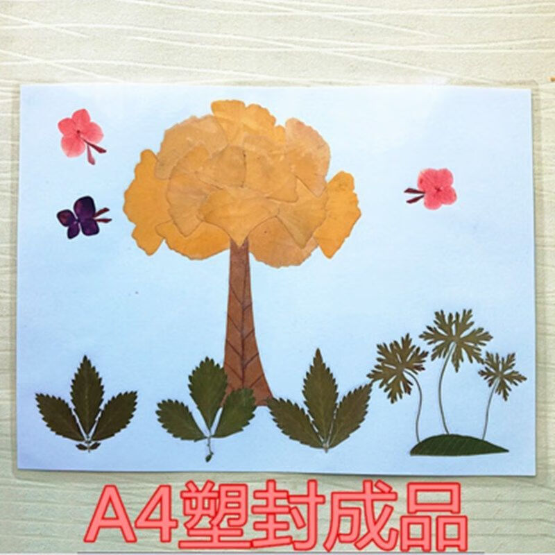 天然真树叶成品贴画幼儿园手工制作小学生干标本叶子画塑封成品区