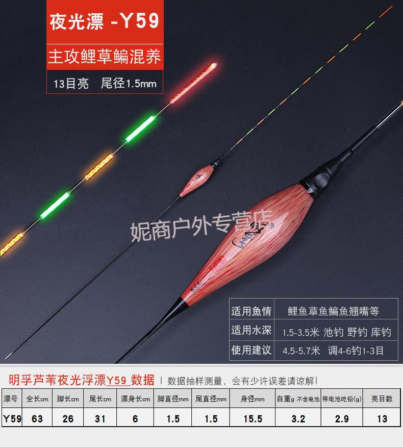 达摩黄金眼同款芦苇电子夜光浮漂咬钩变色夜钓漂高漂