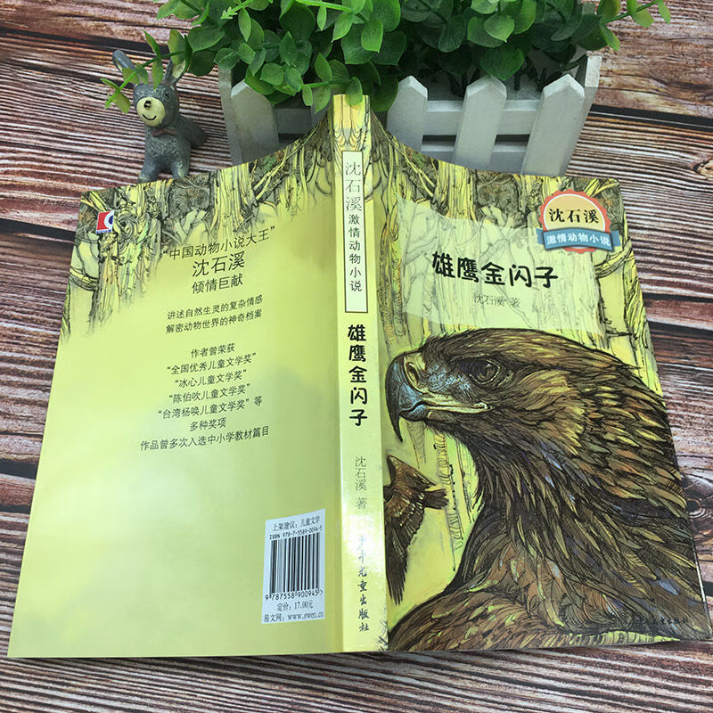 雄鹰金闪子沈石溪激情动物小说小学生三四五六年级课外阅读书籍必