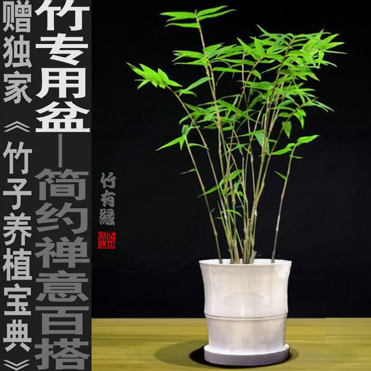 有仁堂种竹花盆竹子花盆仿竹造型花盆中式花盆竹节花盆中国新疆西藏专