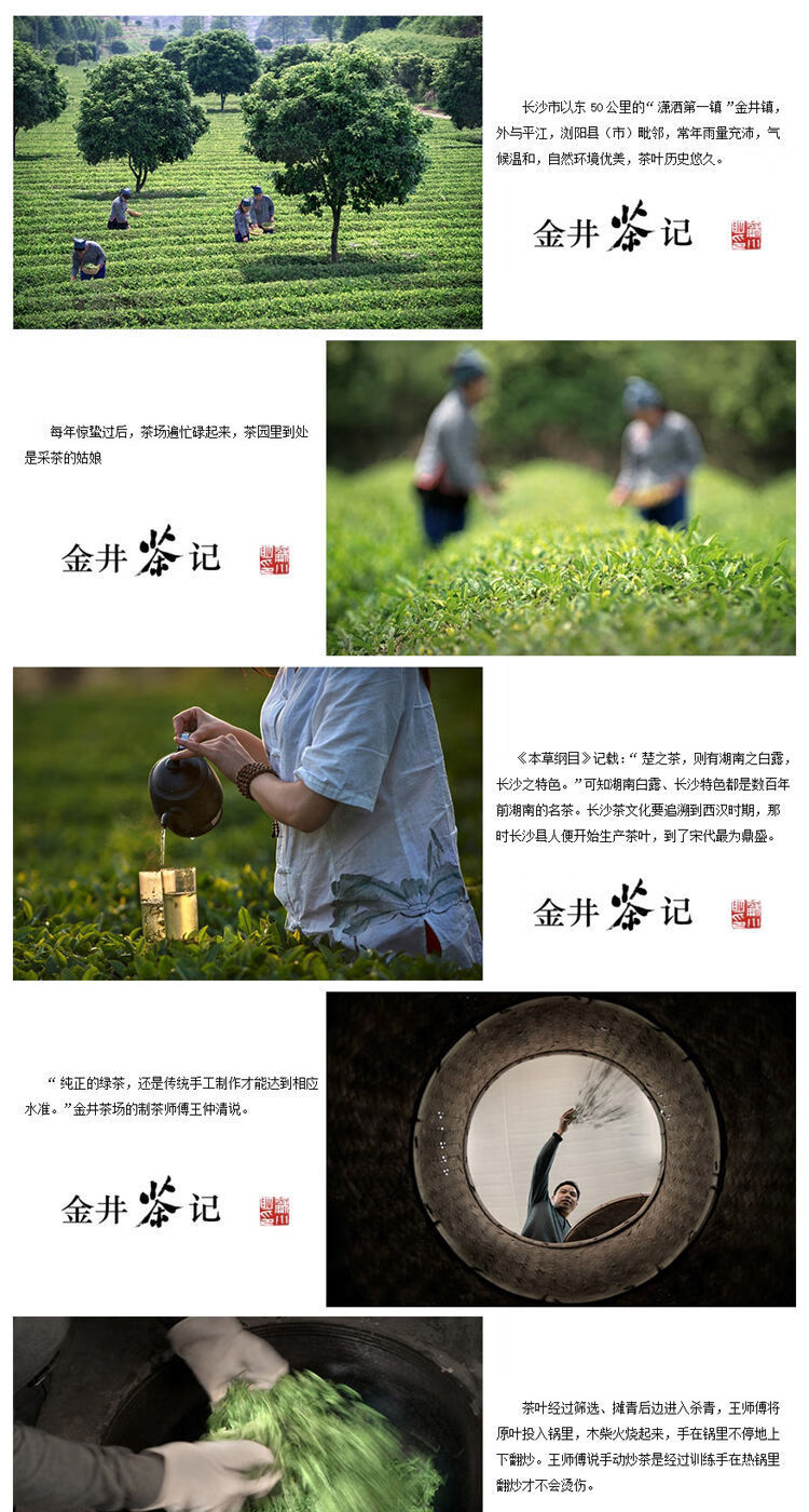 长沙县金井茶湖南十大名茶金井牌金茶系列茶叶绿茶一级绿茶等100g绿茶