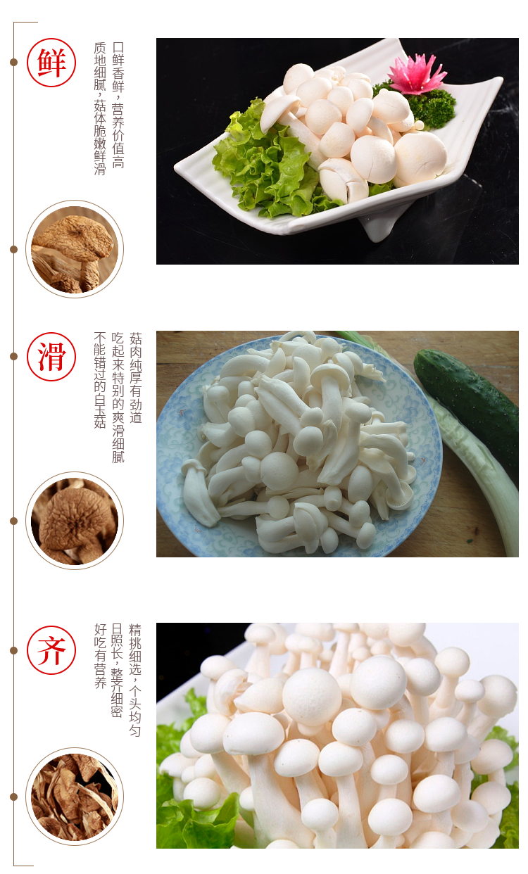 白玉菇 蟹味菇 海鲜菇(共1斤)