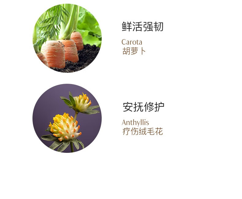 德国世家（Dr.Hauschka）律动眼部养护膏10毫升效期23年12月