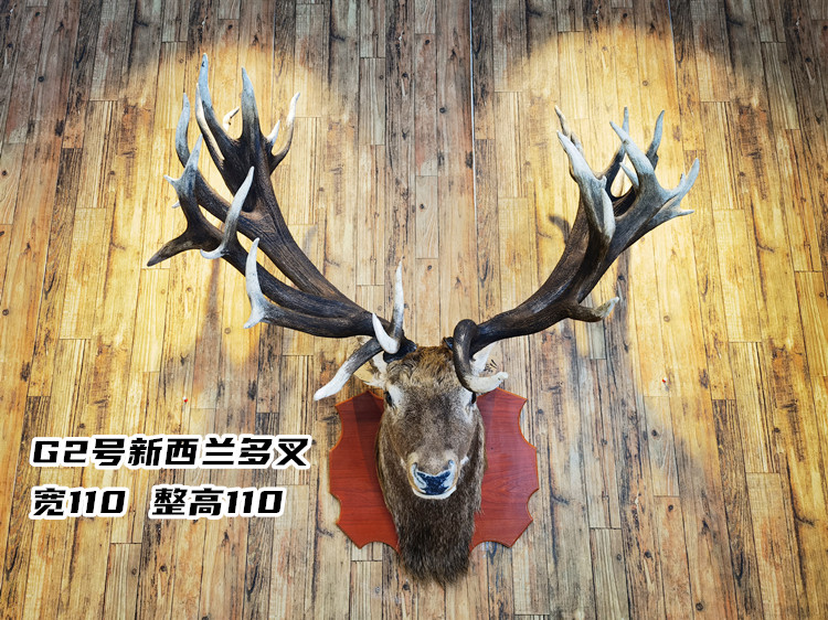 壁挂欧洲马鹿头真鹿头真皮真角马鹿头标本头壁挂墙壁装饰挂件鹿头大