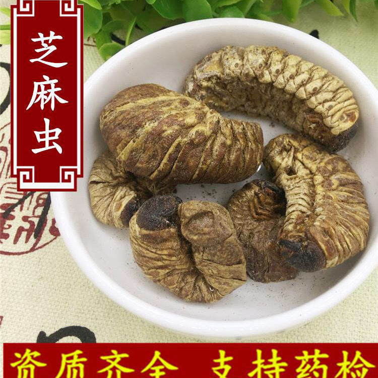 中药材 豆虫干品 芝麻虫 豆天蛾 豆丹 50-500克