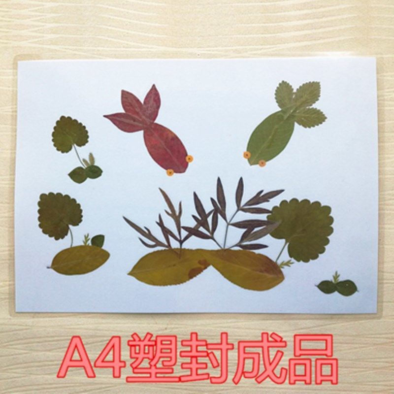 公鸡塑封成品 干树枝 品牌: 欧缔兰 商品名称:天然真树叶成品贴画幼儿