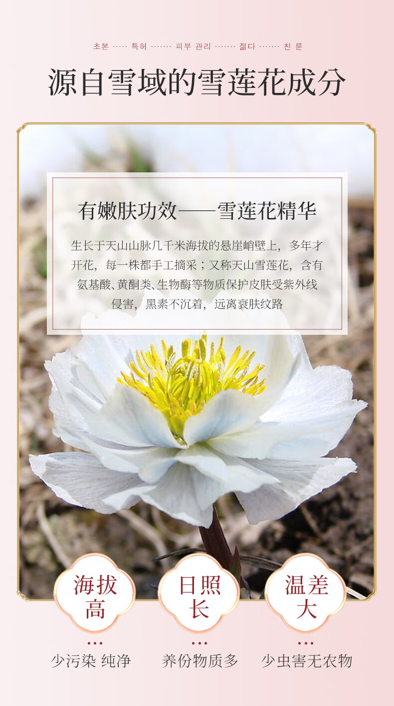 韩美肌（Hanmeiji）雪莲花秘润沁肤凝颜礼盒（紧实亢皱、补水滋养、提拉紧实）6件套护肤品套盒 雪莲花6件套