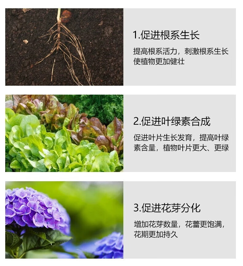 植物营养片花肥料复合肥通用型花肥开花好运颗粒1瓶懒人适合缓释肥控释肥颗粒浇好运棒 1瓶 22片 适合懒人详情图片5