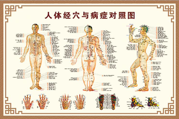 中医养生针灸艾灸穴位图人体经络穴位图人体经穴与病症对照图挂图生活