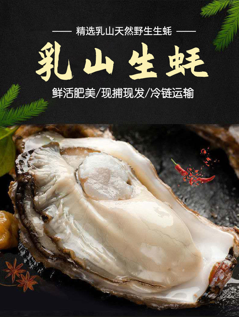 乳山生蚝鲜活一箱6/12斤新鲜超肥特大牡蛎海鲜贝类海蛎子鲜活批发