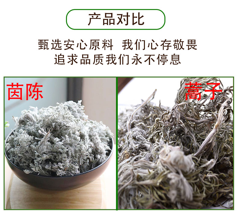 【整棵新货】三月新鲜绵棉茵陈草白蒿茶干货茵陈茶