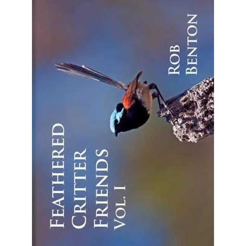 按需印刷不退不换Feathered Critter Friends Vol. I[9780971070271]