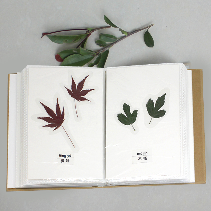 树叶标本册植物风景画收集干花y手工制作创意y标本夹植物标本册a4空白
