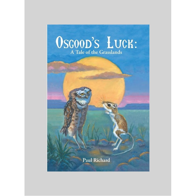 按需印刷Osgood's Luck[9781490784328]