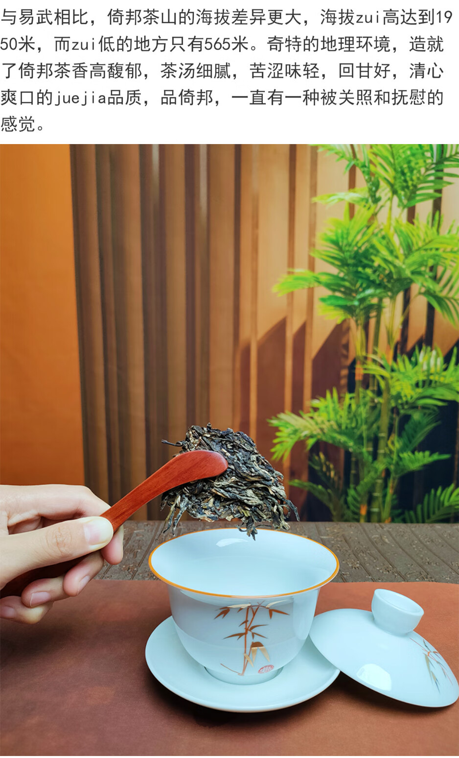 7，趣普茶業2022年春風裡純料生普版納茶倚邦頭春普洱茶生茶餅茶357g 2021年1餅357g