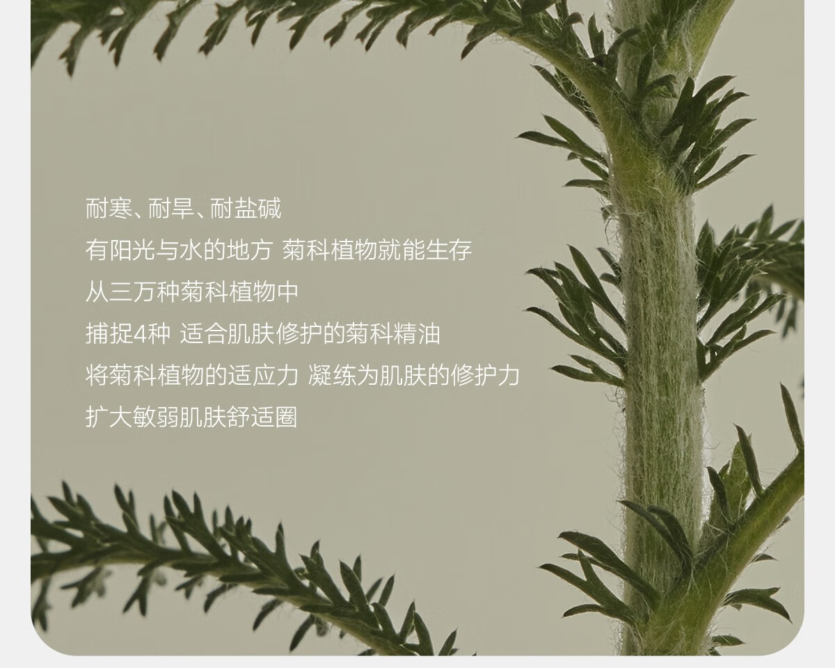 雏菊的天空【618抢先购】翡冷翠修护精露敏弱闪退双核修护清润水透80ml 翡冷翠修护晶露