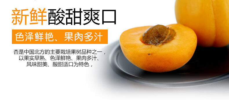 现摘杏子5斤新鲜金太阳大黄杏时令酸甜应季水果李子贵妃杏1斤 5斤小果