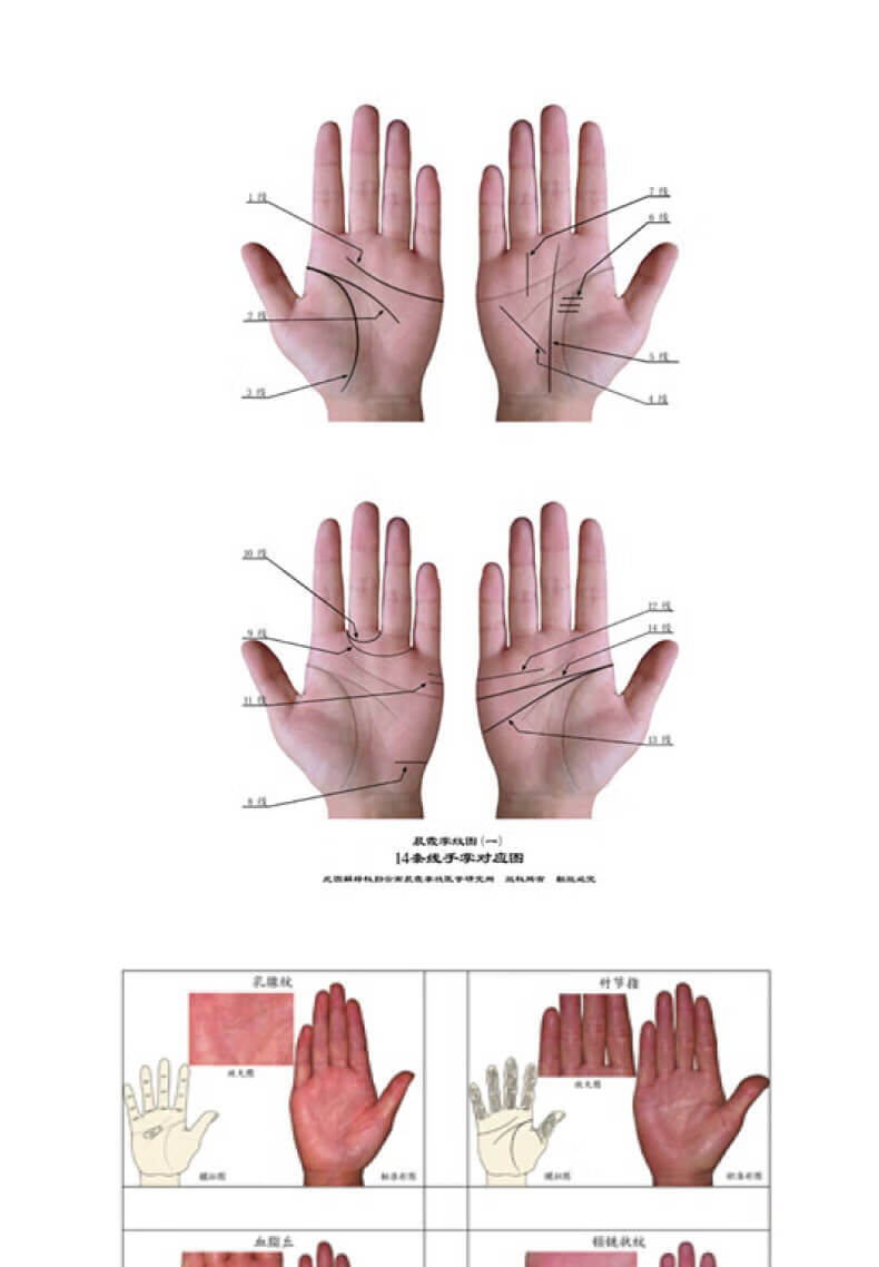 王晨霞掌纹图典 掌纹图解手诊书诊病教程书籍看手相中医养生保健人人