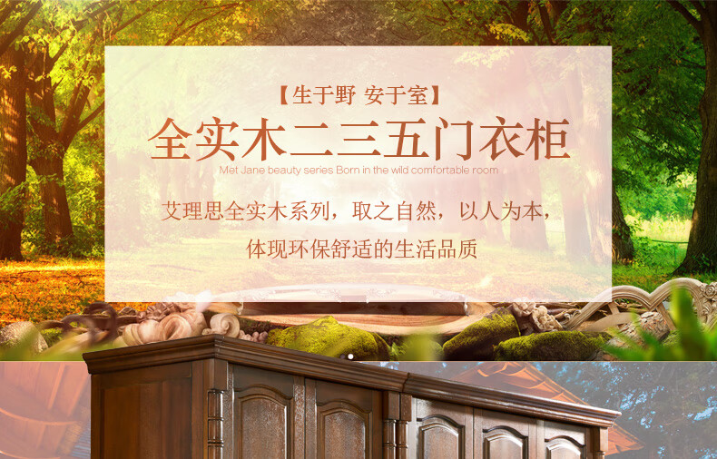 艾理思 全实木三门衣柜 美式实木双门衣柜 简约欧式五门大衣橱 卧室储物家具 全实木双门(99*65*220cm)