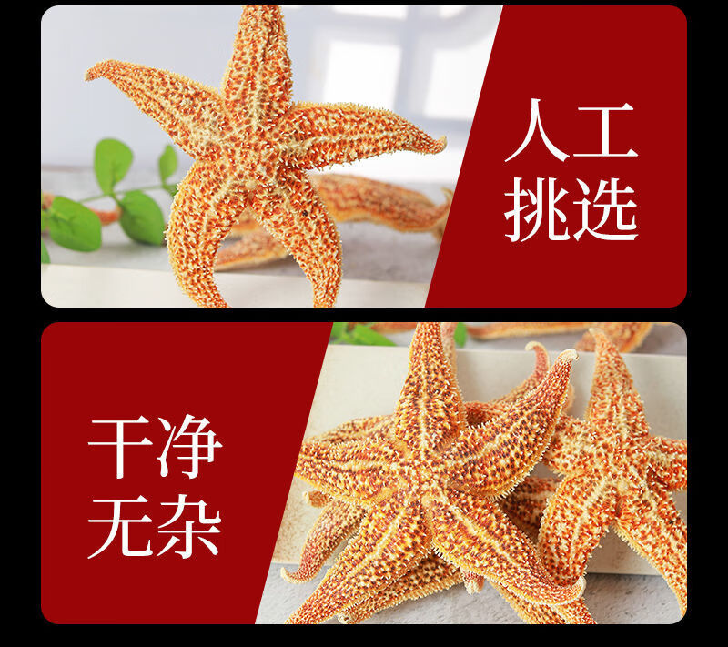 新货深海海星中药材大海星煲汤泡酒料滋补品海盘车海五星干货 精选2斤