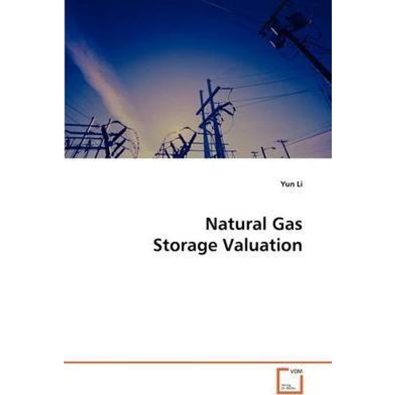 按需印刷Natural Gas Storage Valuation[9783639174663]