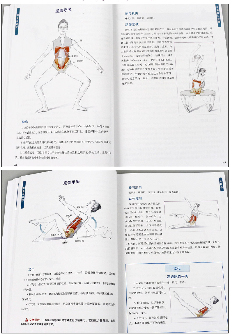 舞蹈解剖学舞蹈基础舞蹈基本功训练教程书舞蹈解刨学舞蹈基础教学自学