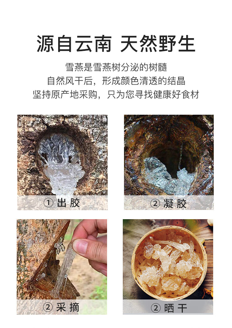 张太和 胖大海 桃胶雪燕皂角米 酸梅汤 赤小豆芡实薏米茶 可搭配菊花组合茶叶花草茶 全须生晒参礼盒装 全须生晒参20g*2盒（赠礼袋）