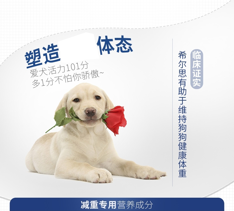 云顶星现货hills希尔思希尔斯狗粮wd处方粮糖尿病处方粮高血脂275磅