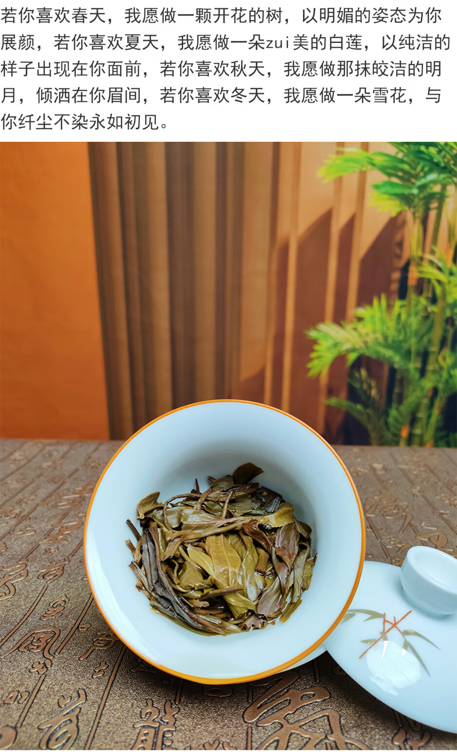 12，趣普茶業2022年春風裡純料生普版納茶倚邦頭春普洱茶生茶餅茶357g 2021年1餅357g