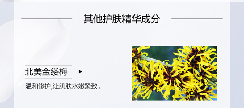 麦吉丽（Mageline） 酵母精萃平衡水二次清洁柔肤水保湿控油水油平衡爽肤水女收毛孔 中样40ml