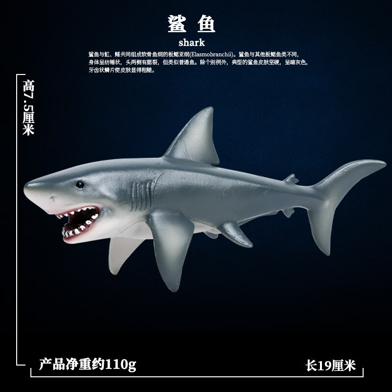 五岁男孩生日礼物巨齿鲨仿真大白鲨海洋动物模型玩具虎鲨虎鲸鲨鱼塑胶